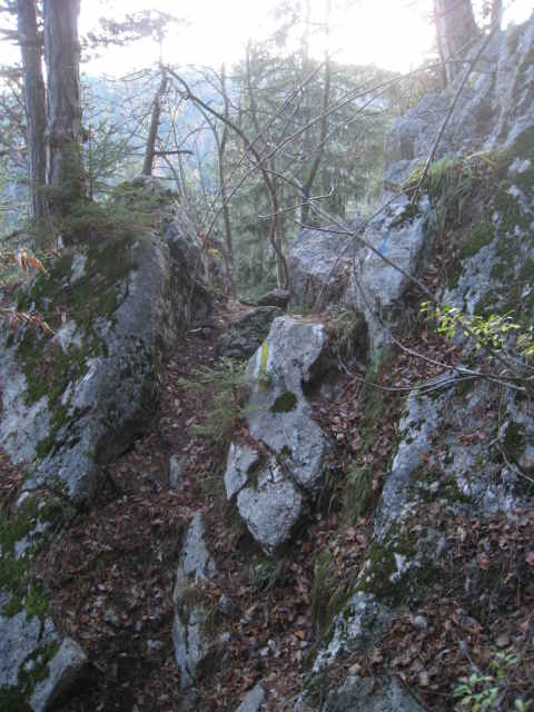 gelbe und blaue Markierungen