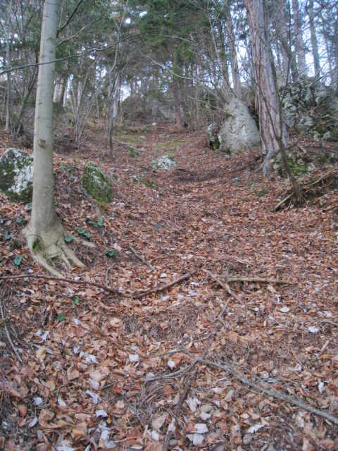 Wald