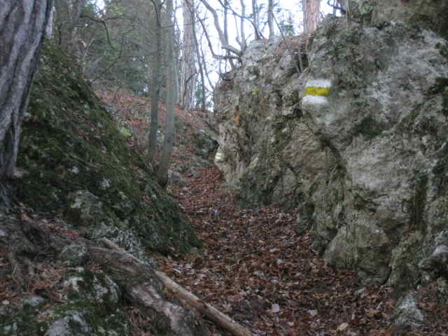 Rinne