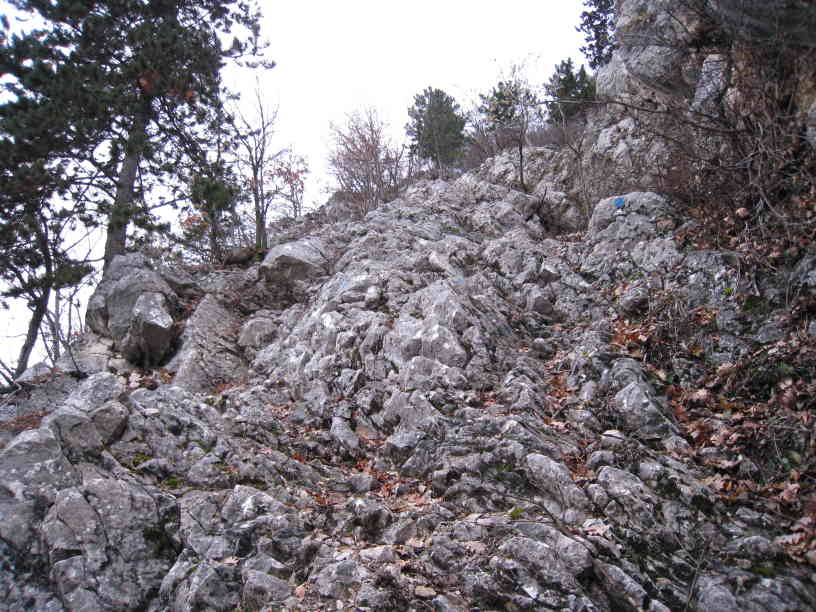 in der Rinne Blick hinauf