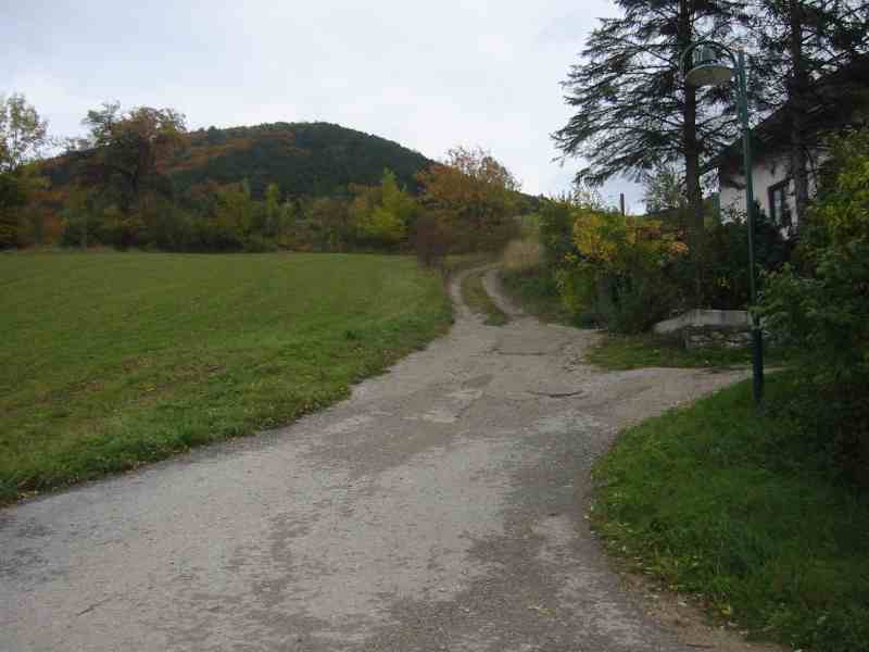 der Feldweg