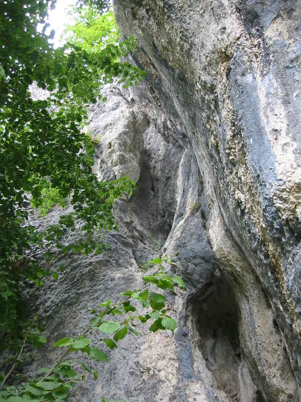 Kamin