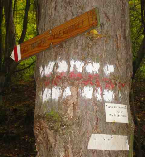 Tafeln an einem Baum