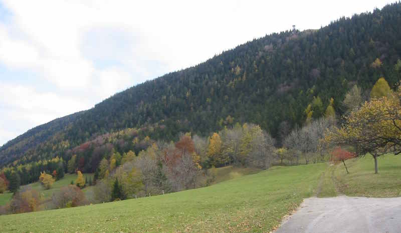 Blick zur Hohen Wand