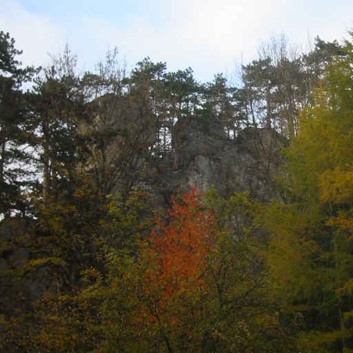Blick zur Ruine Scheuchenstein