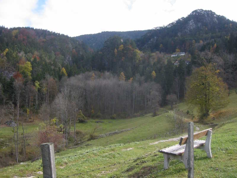 Panorama