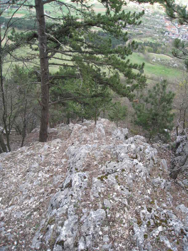 Schrofen