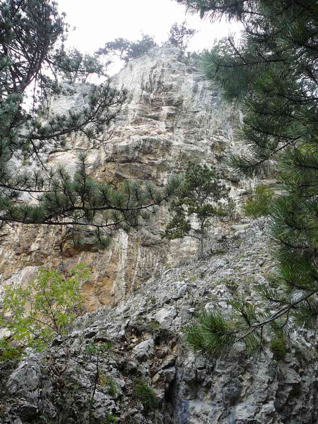 Blick zur Felswand