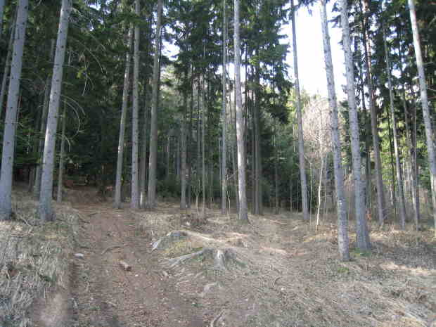 Weggabelung